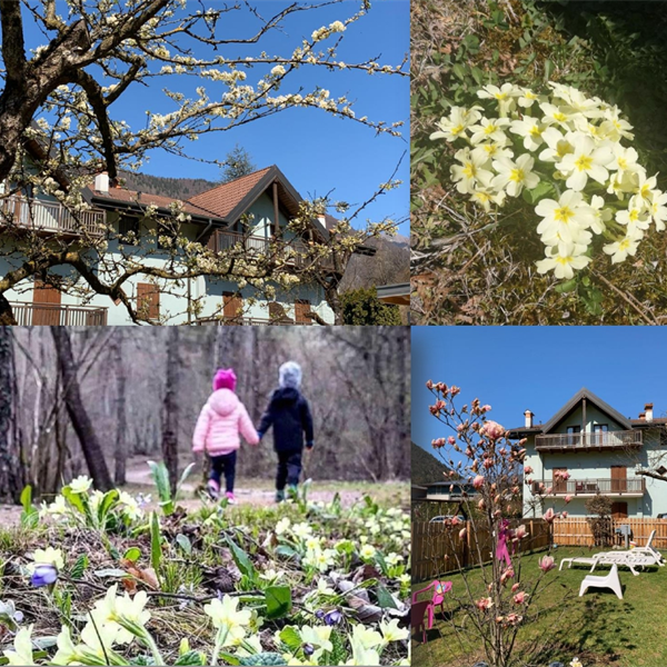 Gallery - Varie | Hotel Lido Ledro | Sussurri di primavera sul Lago di Ledro 